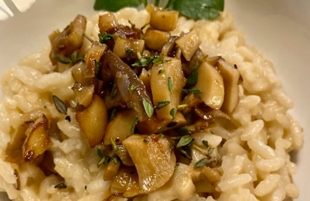 Wild mushroom and goat cheese risotto