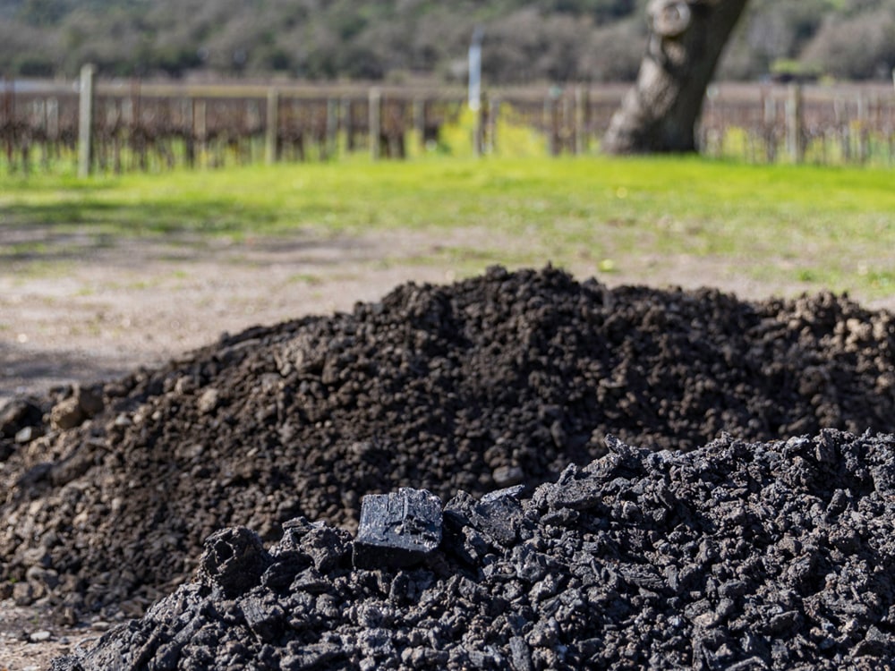 Sustainability, a pile of healthy soil