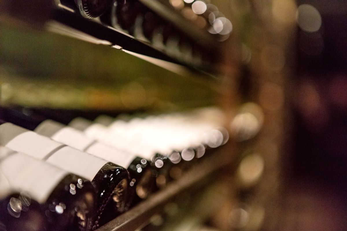 up close of wine bottles in dark cellar