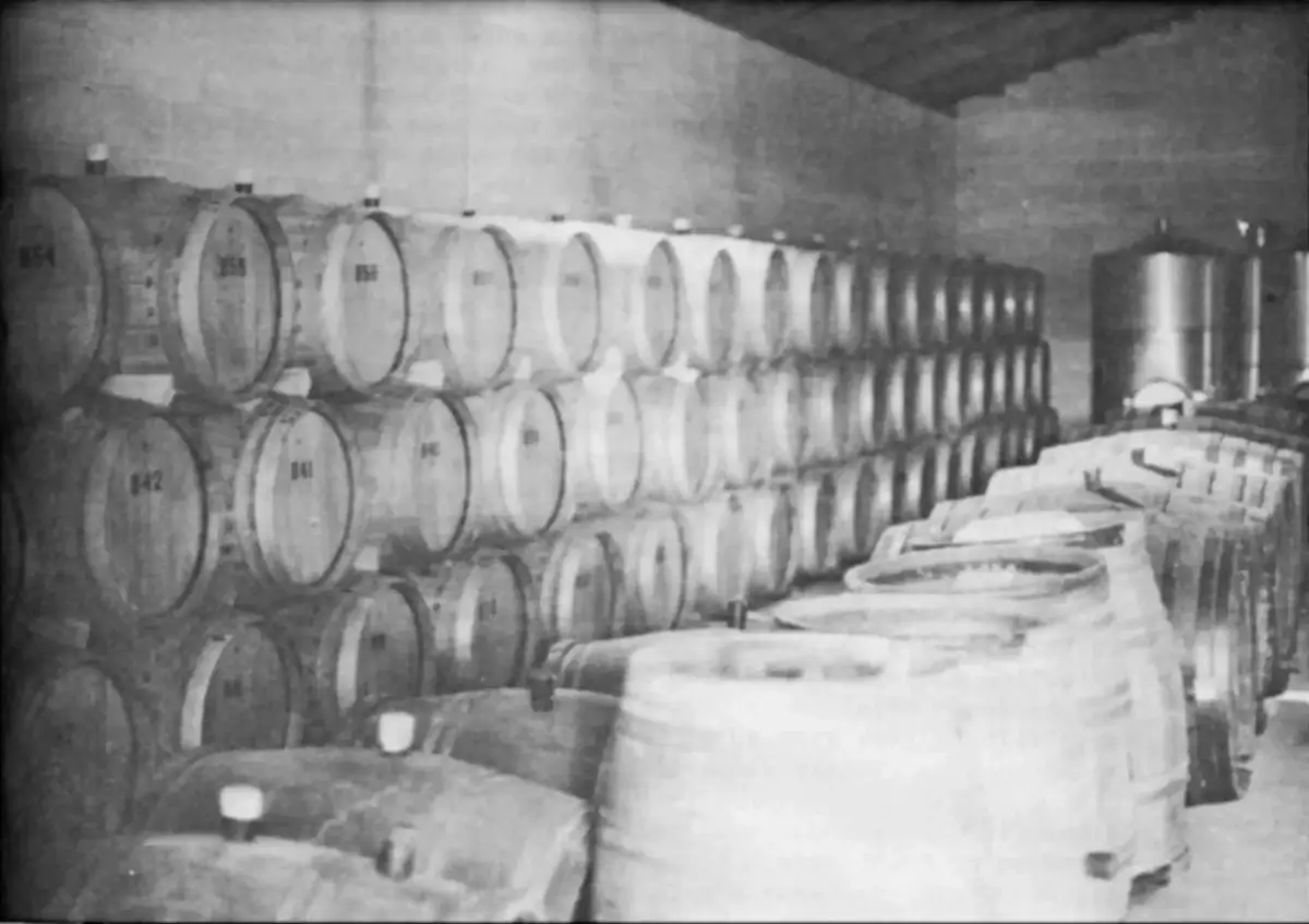 A glimpse inside the original barrel room at Stag’s Leap Wine Cellars, where the winning 1973 S.L.V. Cabernet Sauvignon was crafted.